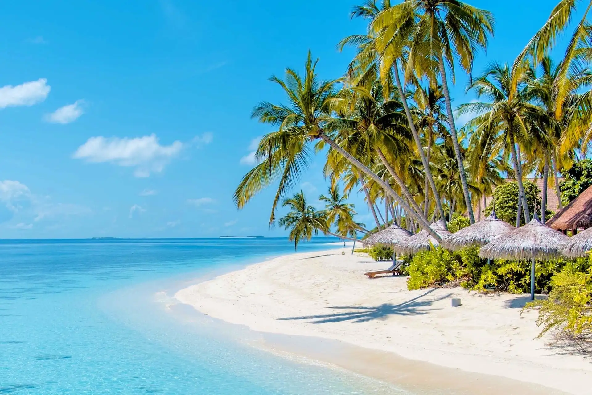 Beachfront Haven in The Caribbean